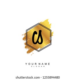Initial CS handwriting logo vector