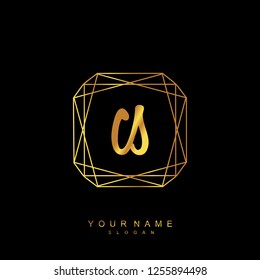 Initial CS handwriting logo vector
