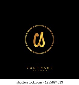 Initial CS handwriting logo vector