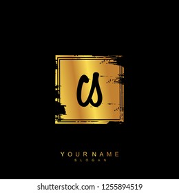Initial CS handwriting logo vector