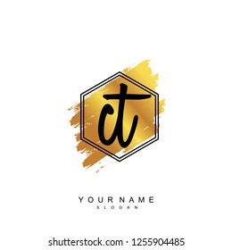 Initial CT handwriting logo vector