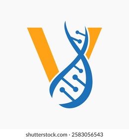 Initial DNA Spiral Logo On Letter V For Healthcare Sign Vector Template 