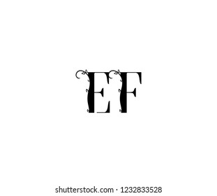 Initial EF Letter Linked Organic Flourishes Monogram Logotype