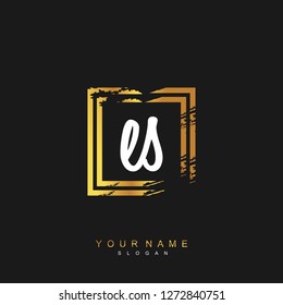 Initial ES handwriting logo vector