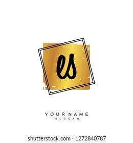 Initial ES handwriting logo vector