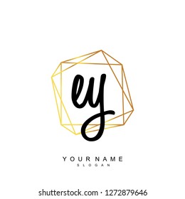 Initial EY handwriting logo vector
