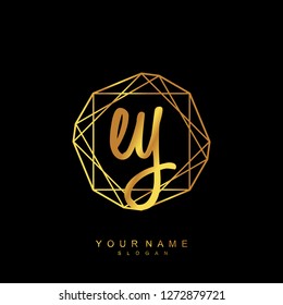 Initial EY handwriting logo vector
