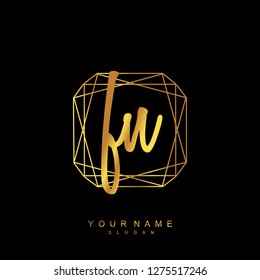 Initial FN handwriting logo vector