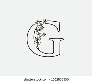 Initial G Letter Logo Icon,  Created with Hand Drawn Plant Branches. Nature Leaf G Letter Design 