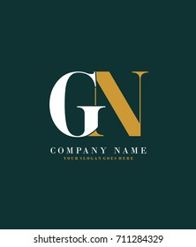 Initial G and N simple design logo template vector