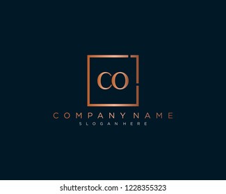 Initial geometric C & O elegant logo template vector