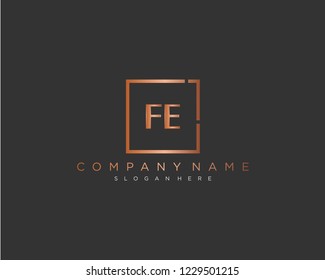 Initial geometric F & E elegant logo template vector