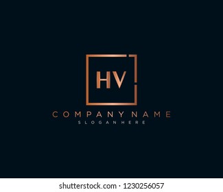 Initial geometric H & V elegant logo template vector