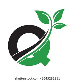 Initial Green Leaf Logo combine with letter Q vector template