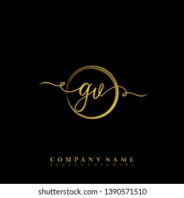 Initial GV handwriting logo template vector