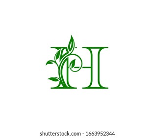 Initial H Logo. H Letter Design Vector with Green Color and Floral Hand Drawn Green Leaves.