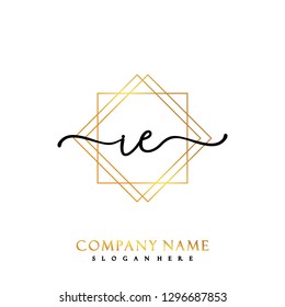 IE Initial Handwriting logo template vector