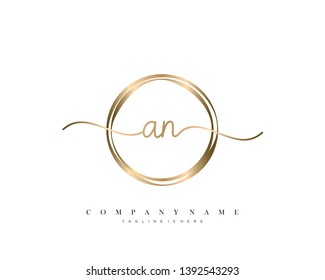 AN initial handwriting logo template vector
