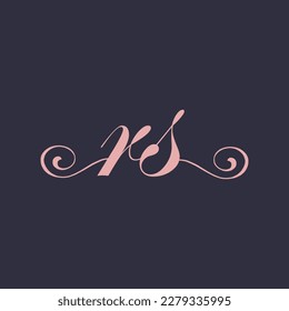  Initial Handwritten RS R S Letters Logo with a minimalist design.