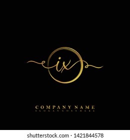 Initial IX handwriting beauty logo template vector