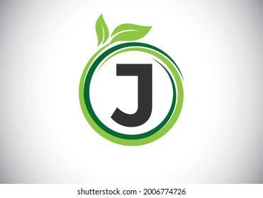 Alfabeto inicial J monograma en una espiral con hojas verdes. emblema de letra. Símbolo de signo de icono de la naturaleza. Diseño de logotipo vectorial moderno para la atención de la salud empresarial, la naturaleza, la granja y la identidad de la empresa.