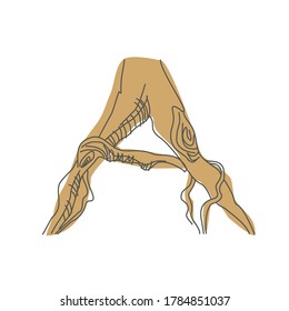 Letra inicial A. Fuente decorativa a partir de raíces de árbol. Diseño ambiental. Tipografía de la naturaleza