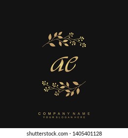 Initial letter AE beautiful handwriting logo vector template
