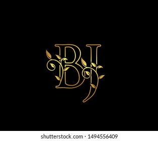 Bj Images, Stock Photos & Vectors | Shutterstock