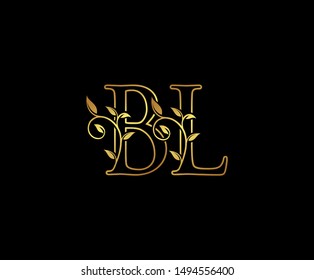 Initial Letter B Bi Gold Logo Stock Vector (Royalty Free) 1494556412