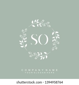 Initial letter SO beautiful handwriting logo vector template