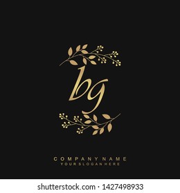Initial letter BG beautiful handwriting logo vector template