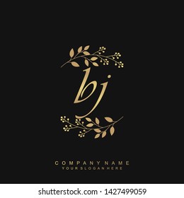 Initial letter BJ beautiful handwriting logo vector template