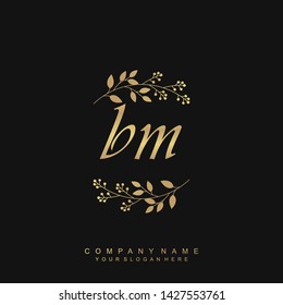 Initial letter BM beautiful handwriting logo vector template