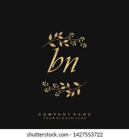Initial letter BN beautiful handwriting logo vector template