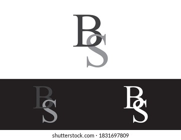 Initial Letter BS Logo or Icon Design Vector Image Template