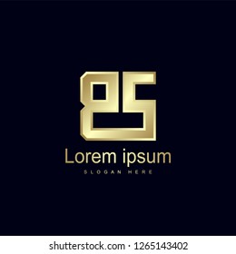Initial Letter BS Logo Template Vector Design