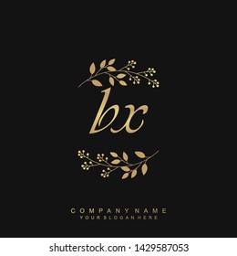 Initial letter BX beautiful handwriting logo vector template