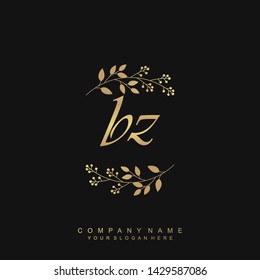 Initial letter BZ beautiful handwriting logo vector template