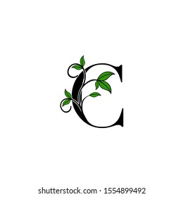 Initial Letter C logo icon.  Design concept Nature green leaves with letter logo icon black color.