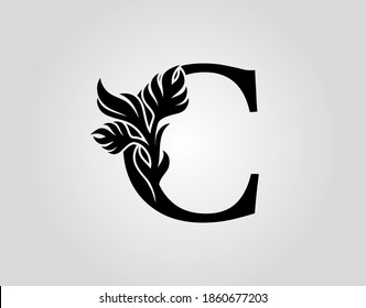 Initial Letter C Luxury Beauty Flourishes Stock Vector (Royalty Free ...