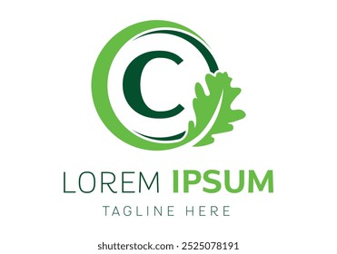 initial letter C oak leaf in a circle logo design Vector
