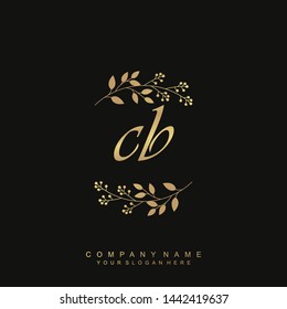 Initial letter  CB beautiful handwriting logo vector template