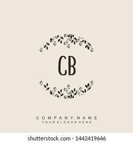 Initial letter  CB beautiful handwriting logo vector template