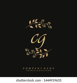 Initial letter CG beautiful handwriting logo vector template