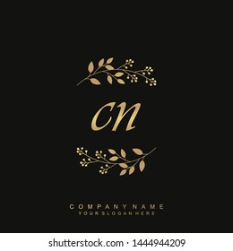 Initial letter CN beautiful handwriting logo vector template