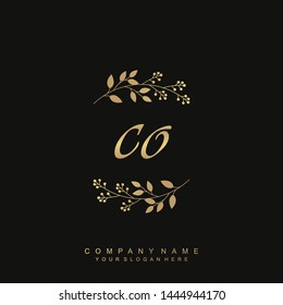 Initial letter CO beautiful handwriting logo vector template