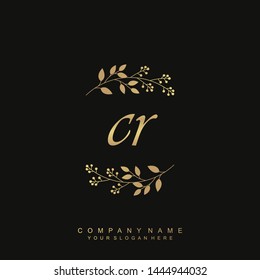 Initial letter CR beautiful handwriting logo vector template