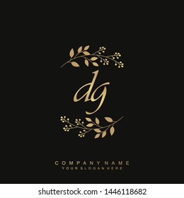 Initial letter DG beautiful handwriting logo vector template