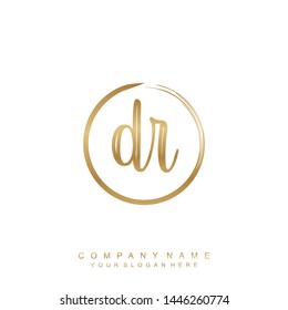 Initial letter DR beautiful handwriting logo vector template