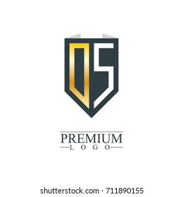 Initial Letter DS Company Design Logo Template